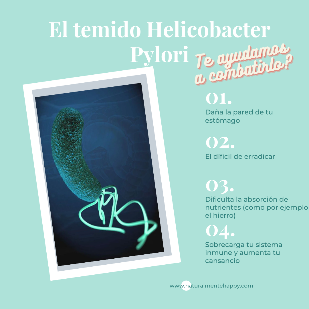 El temido Helicobacter